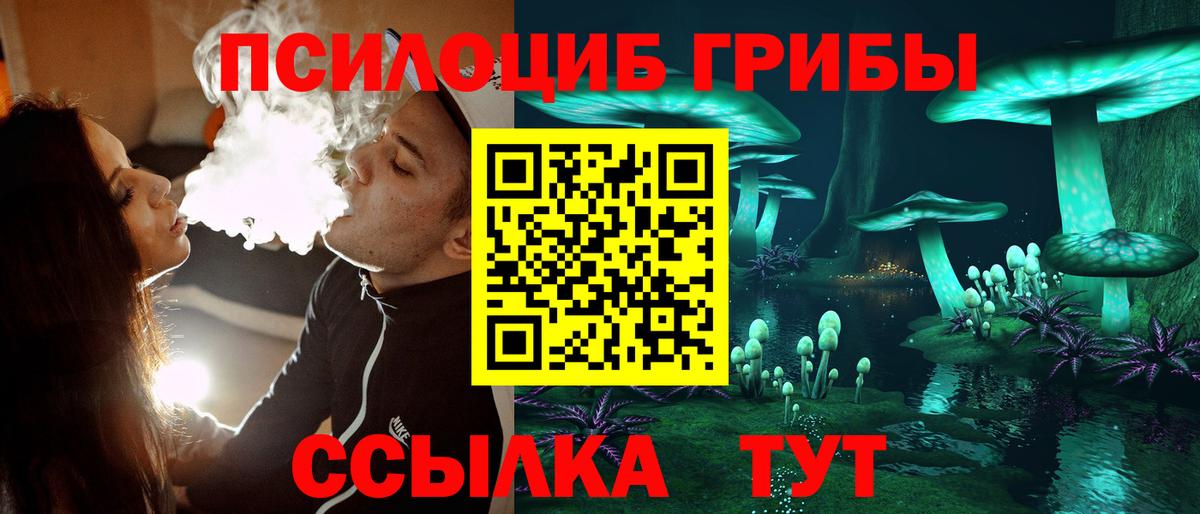 Новошахтинск  Псилоцибиновые грибы ЛСД  Вход с VPN 