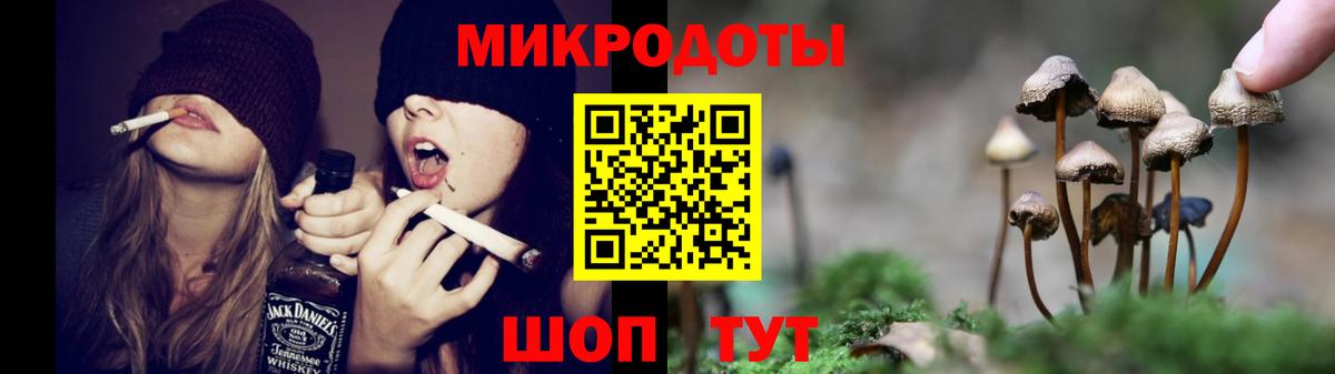 Псилоцибиновые грибы Psilocybine cubensis Новошахтинск